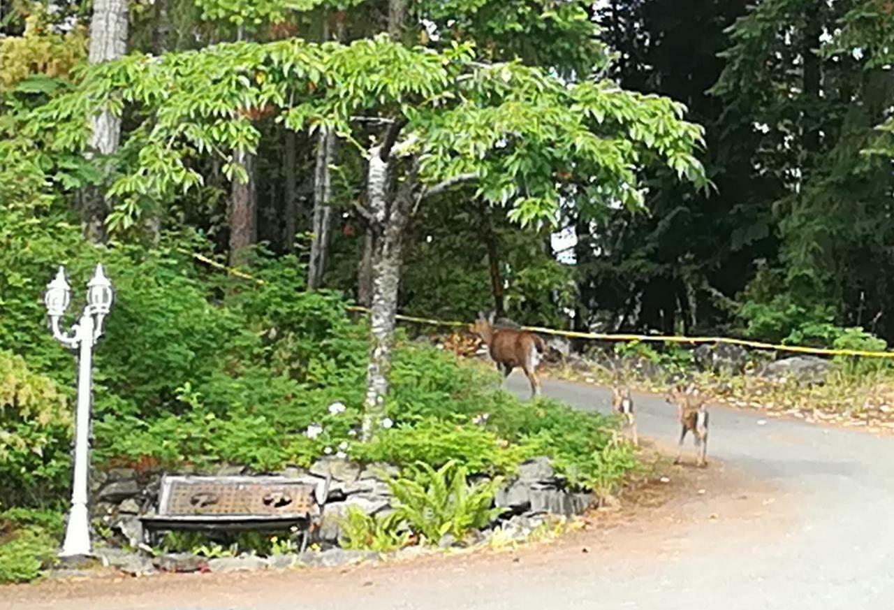 Vancouver Island Castle Cove Inn Chemainus Eksteriør billede