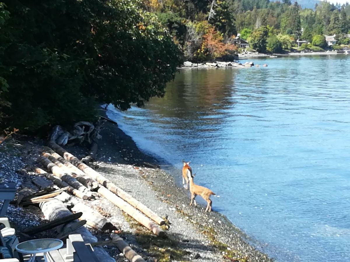 Vancouver Island Castle Cove Inn Chemainus Eksteriør billede