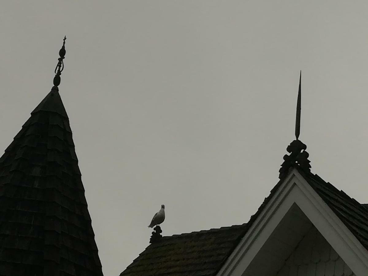 Vancouver Island Castle Cove Inn Chemainus Eksteriør billede
